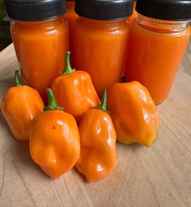 Tangy Citrus Habanero Hot Sauce Recipe for Low-Carb & Keto Diets