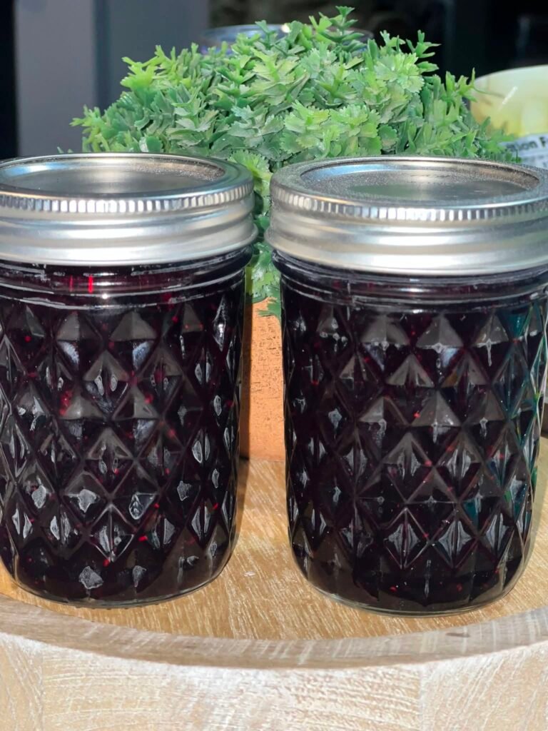 Sugar-Free Protein Blueberry Jam with Chia Seeds
