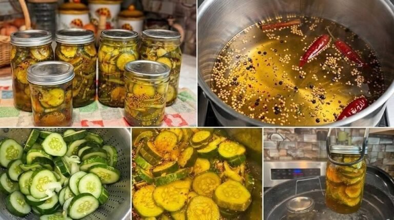 Easy Refrigerator Bread and Butter Pickles (No Canning Required)