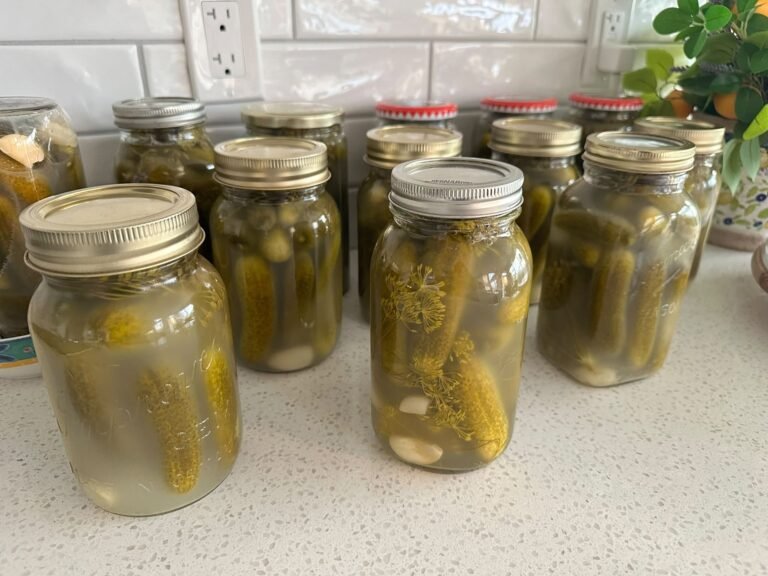 Crunchy High-Protein Meal Prep Garlic Dill Pickles