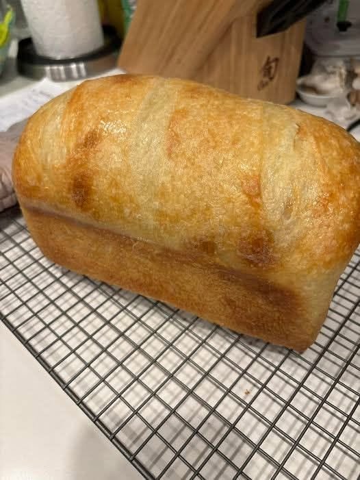 High-Protein Low-Carb Artisan Sourdough Loaf