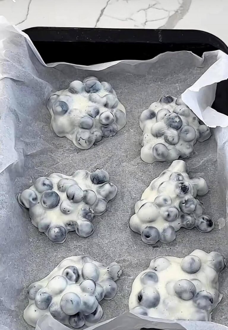 High-Protein Blueberry Yogurt Bites – Easy Low-Carb Snack