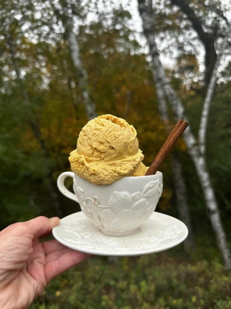 Low-Carb Protein Pumpkin Ice Cream (No Sugar Added)