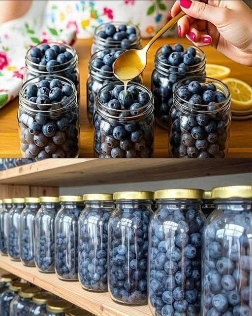 Easy Honey-Canned Blueberries: Naturally Sweet Low-Carb Fruit Preserves