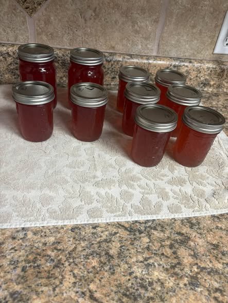 Sugar-Free Apple Peel Jelly for High-Protein & Low-Carb Diets