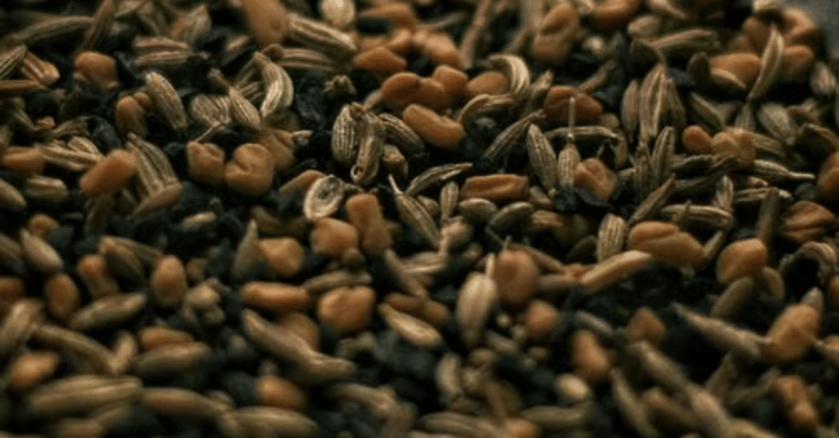 Savory Low-Carb Seed and Herb Topper for High-Protein Diets