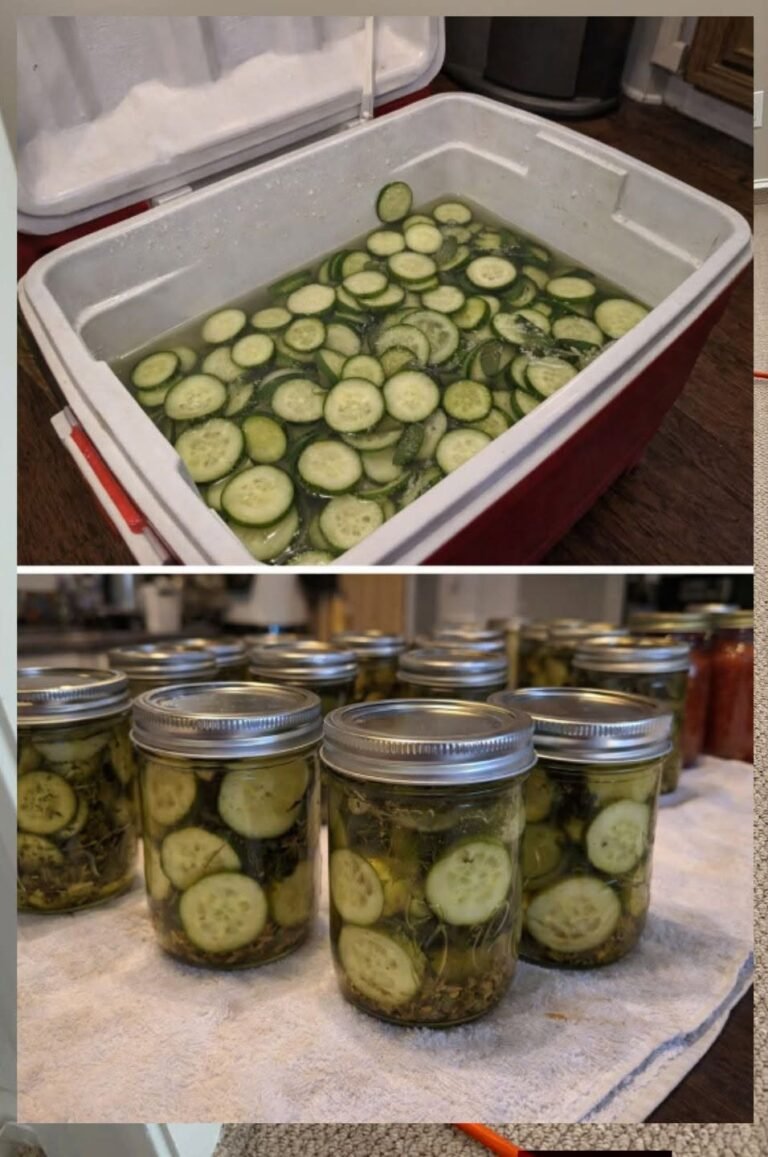 Easy Homemade Crunchy Garlic Dill Pickles (Low-Carb & Keto Snack)