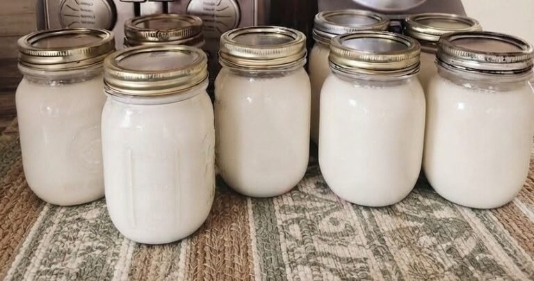 Easy 15-Minute High-Protein Evaporated Milk Pudding