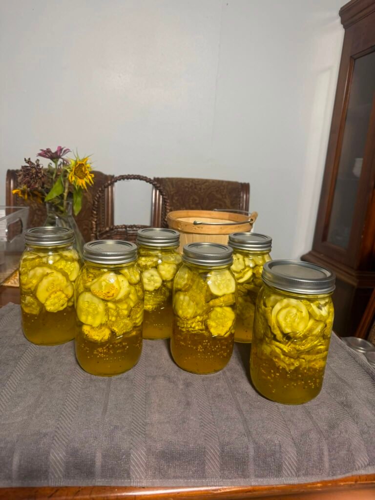 Homemade Sugar-Free Sweet Bread and Butter Pickles for Healthy Diets