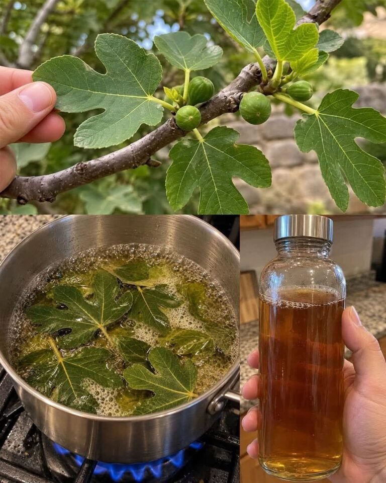Sugar-Free Fig Leaf Syrup Recipe (Low-Carb & Keto Simple Syrup)
